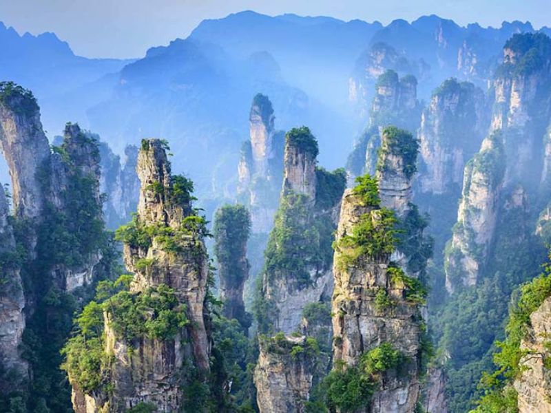 tour-phuong-hoang-co-tran Tour Phuong Hoang Co Tran 3