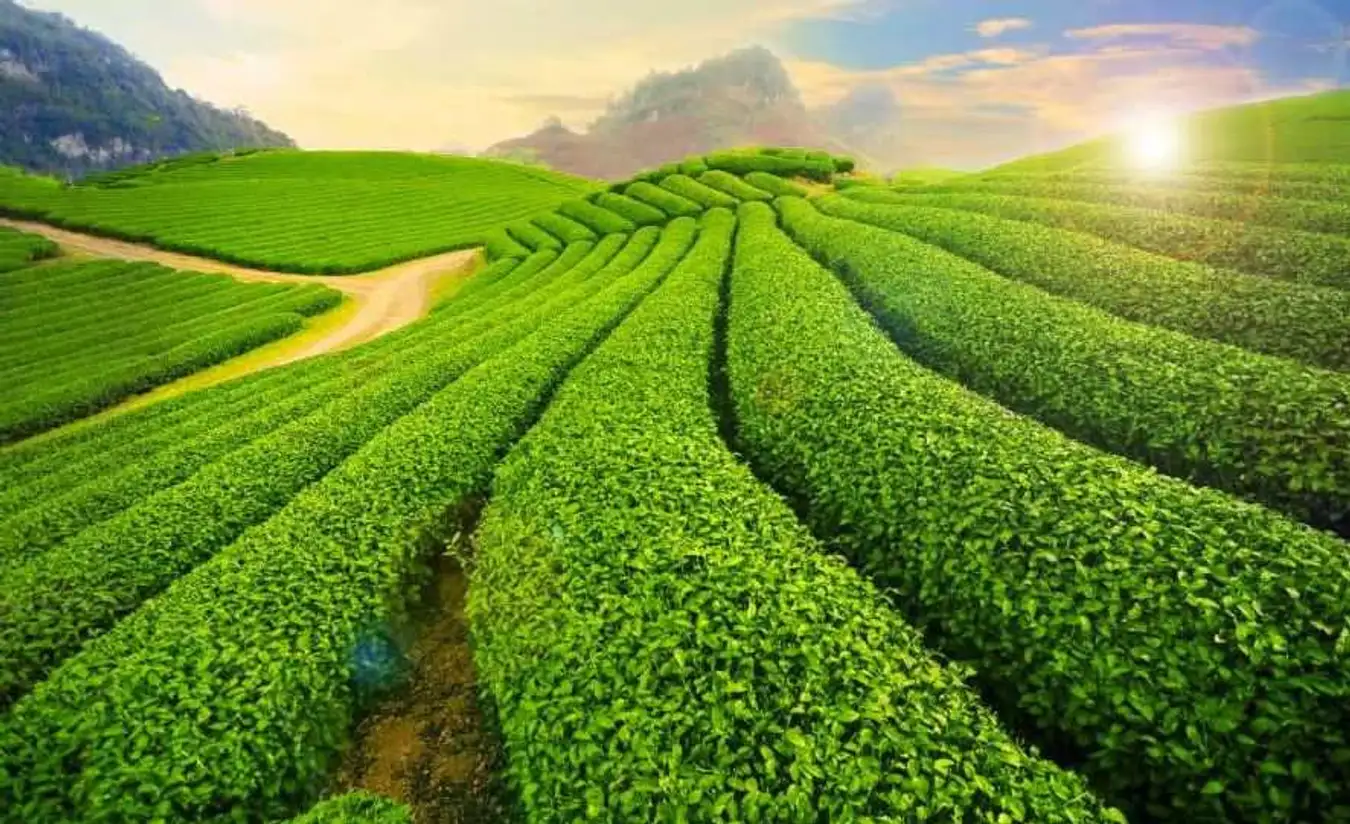 TOUR HÀ NỘI - ĐIỆN BIÊN - SƠN LA