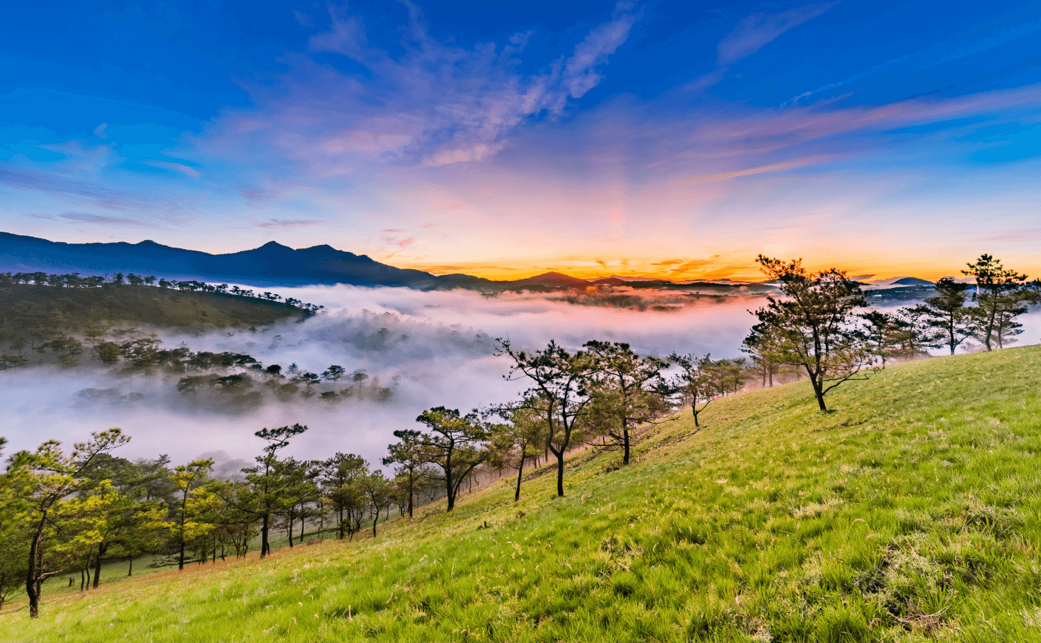 Tour Đà Lạt DATANLA |ĐƯỜNG HẦM ĐẤT SÉT | ĐỒI MỘNG MƠ |CHÙA LINH PHƯỚC |THIỀN VIỆN TRÚC LÂM4N3Đ