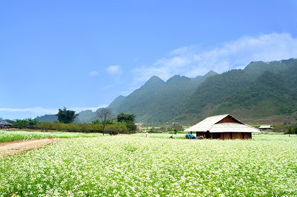 TOUR HÀ NỘI - HÒA BÌNH - SƠN LA - ĐIỆN BIÊN - SAPA