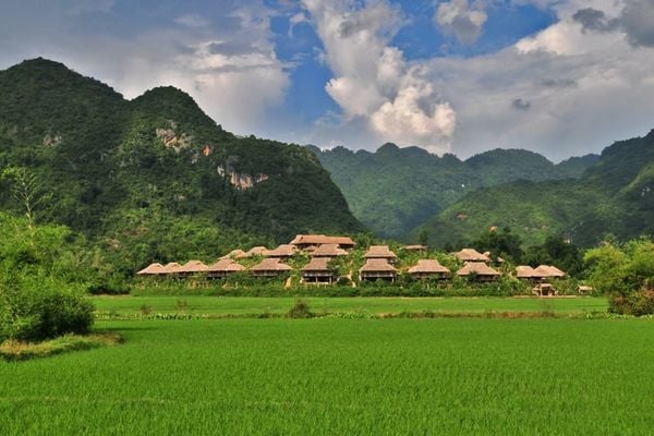 TOUR HÀ NỘI - MỘC CHÂU - MAI CHÂU