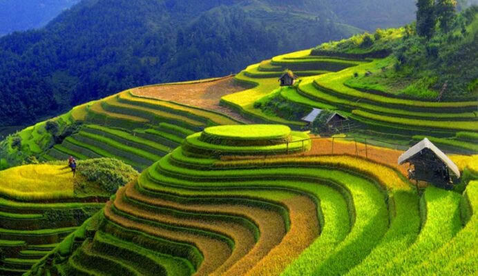 mu cang chai