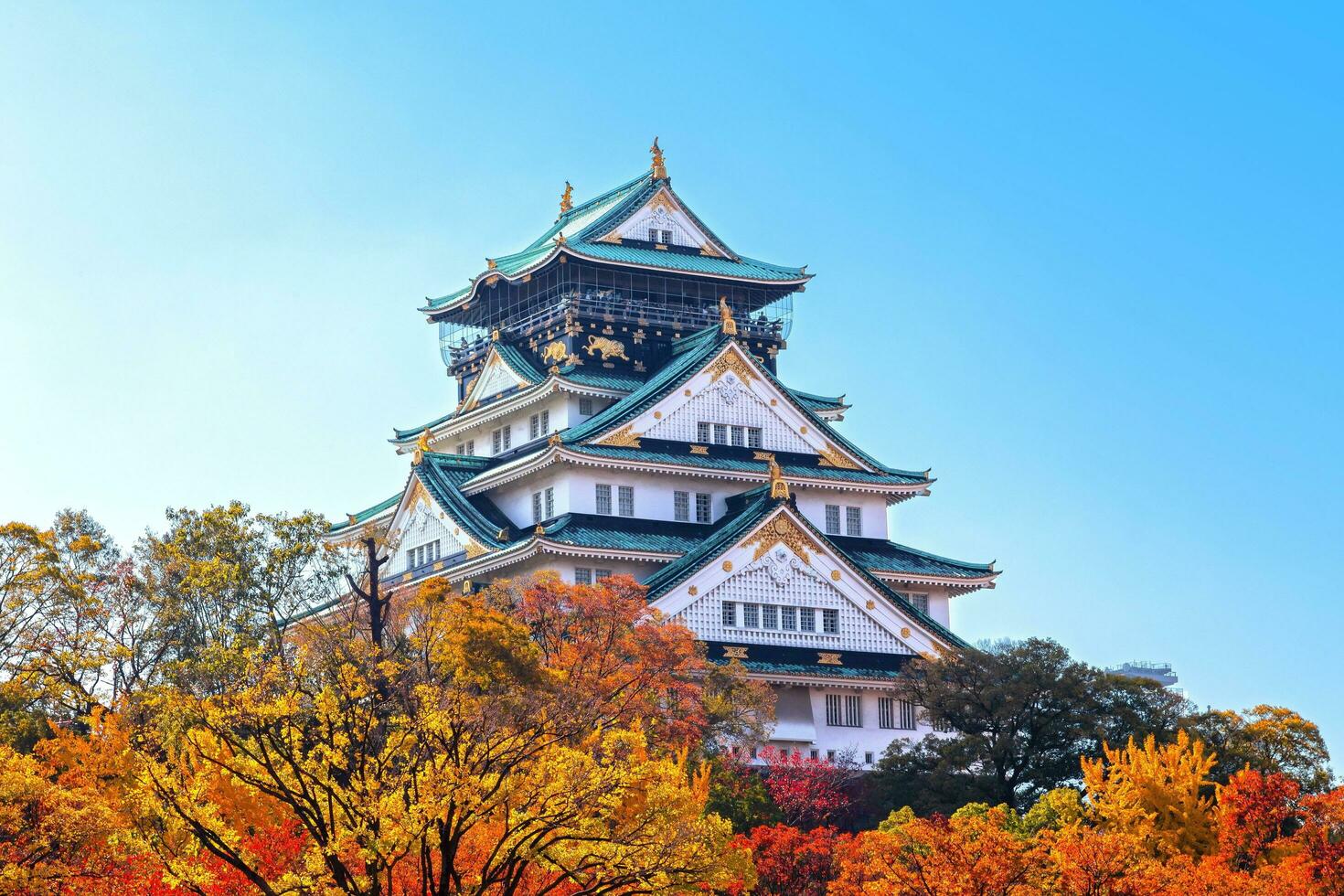 Tour Mùa Thu Nhật Bản: Osaka - Kyoto - Phú Sĩ – Tokyo 5 ngày 5 đêm